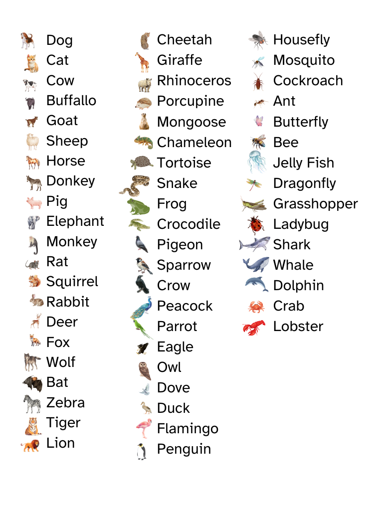 EyeCue (IQ Developer) : Animals - Image 2
