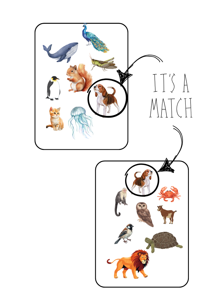 EyeCue (IQ Developer) : Animals - Image 3